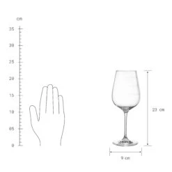 Weinglas 480 Ml DON`T ASK In Transparent 11 Weinglas 480 Ml DON`T ASK In Transparent -Einrichtungsgeschäft butlers weinglas 480 ml don t ask in transparent 4